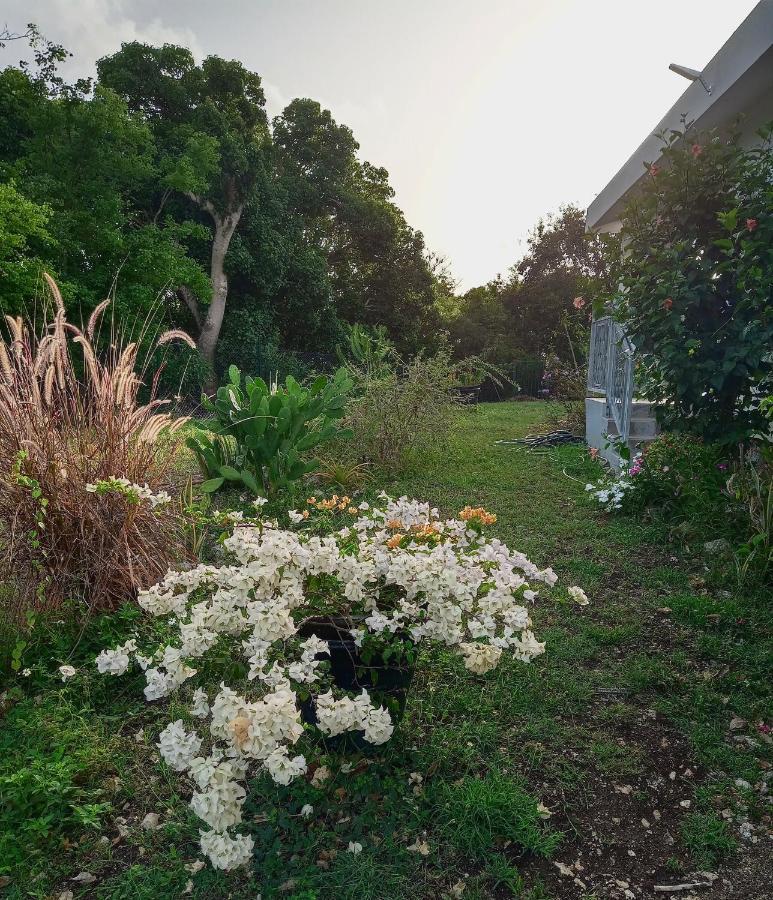 Ferienwohnung Jardin des Anges-Ch. Rose Le Moule Exterior foto