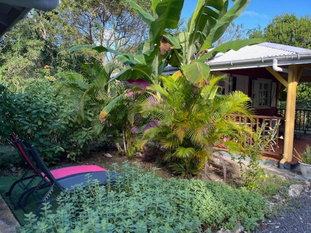 Ferienwohnung Jardin des Anges-Ch. Rose Le Moule Exterior foto