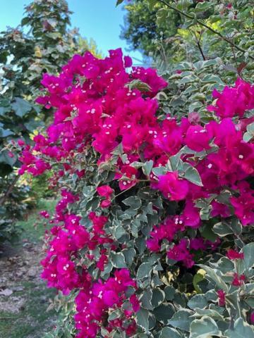 Ferienwohnung Jardin des Anges-Ch. Rose Le Moule Exterior foto
